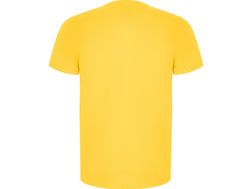 Спортивная футболка Imola мужская