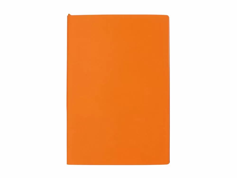 Бизнес-блокнот А5 C1 soft-touch