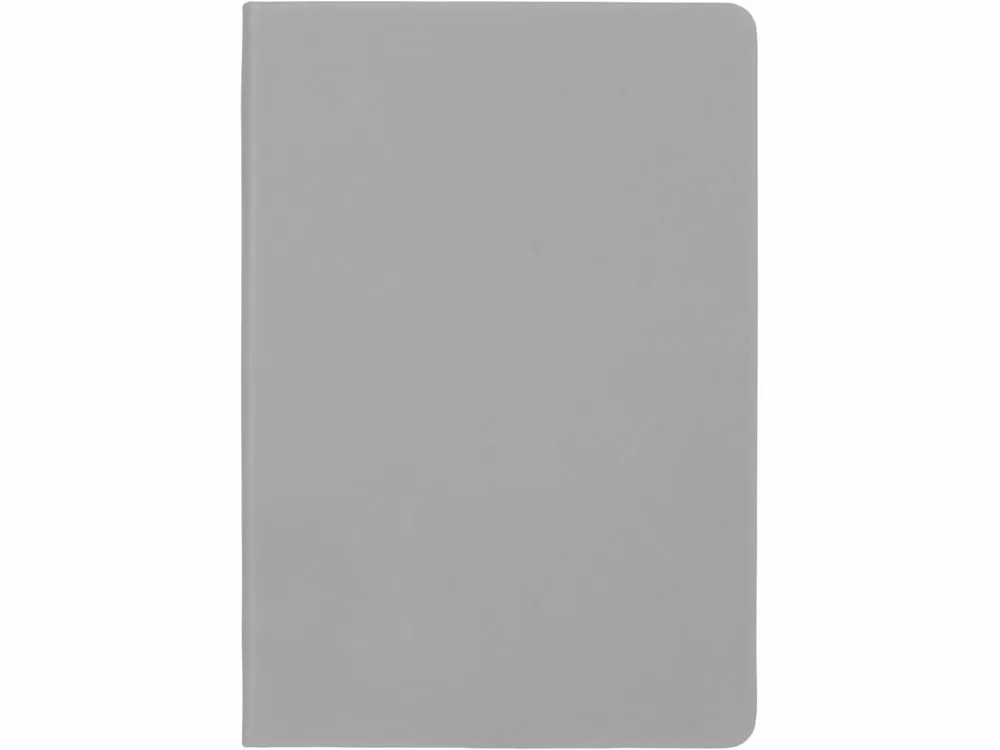 Бизнес-блокнот А5 C2 soft-touch