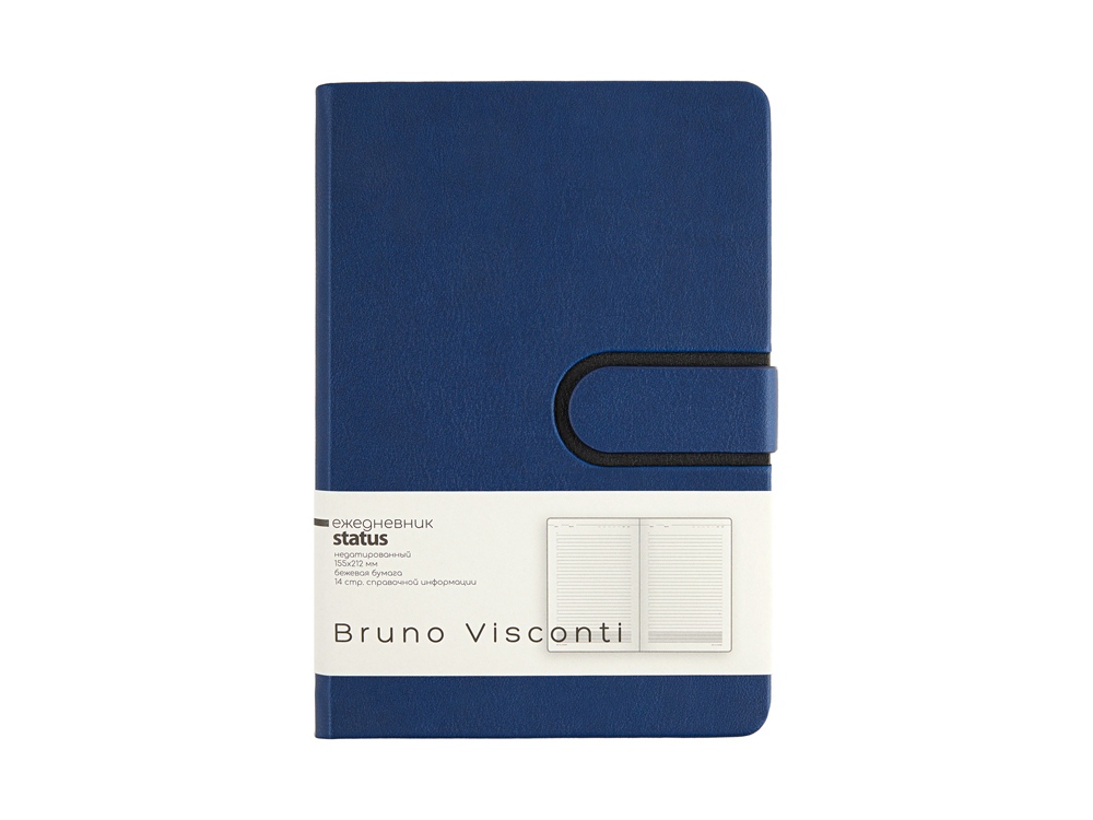Ежедневник недатированный А5 Status