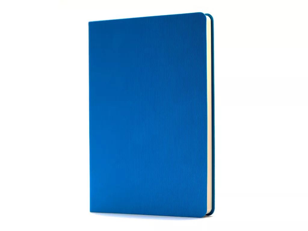 Ежедневник, недатированный, формат А5, в гибкой обложке Happy Lines, синий