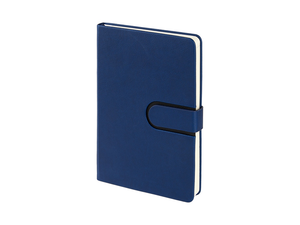 Ежедневник недатированный А5 Status